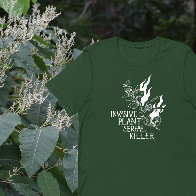 All | Plant Magic